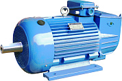 Крановый электродвигатель 4МТМ225М6