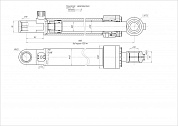 Гидроцилиндр ЦГ-110.80х1120.22