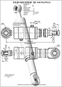 Гидроцилиндр ЦГ-100.50х350.11