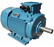 Общепромышленный асинхронный электродвигатель 5A225M2